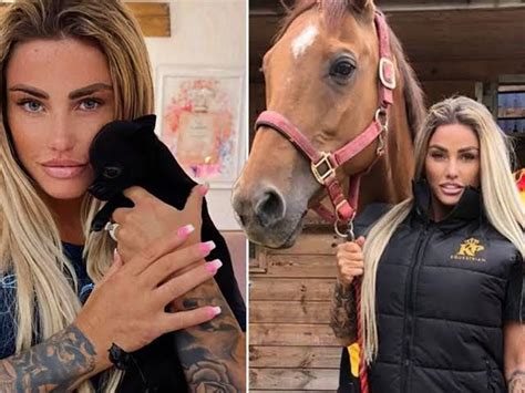 Katie Price is offered £5,000 by PETA to stop owning。